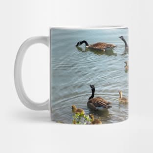 Canada Goose Family Heading To The Water Mug